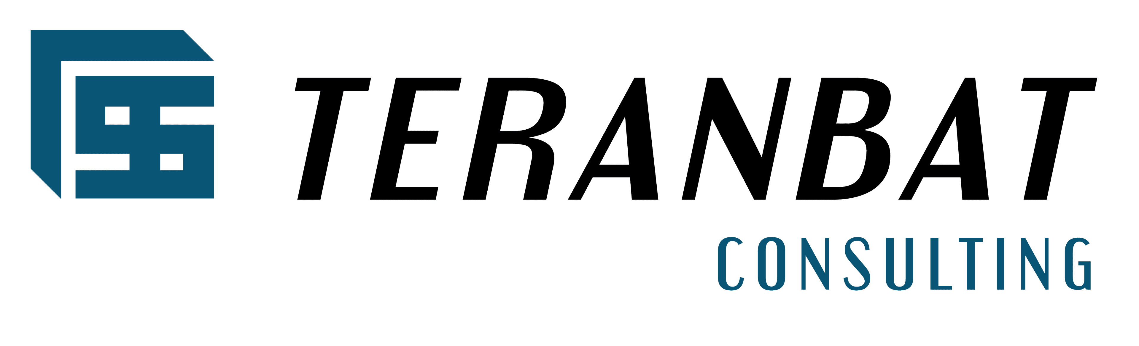 TERANBAT Consulting